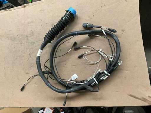 Branched wiring harness