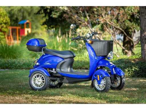 Alpenmobil - Veicolo Doppio Invalido / Anziano