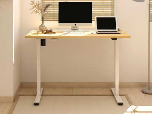 Sta-bureau 100x60x(73-123) cm, in hoogte verstelbaar elektrisch bureau