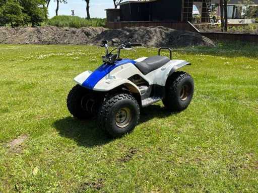 Yamaha Breeze Quad