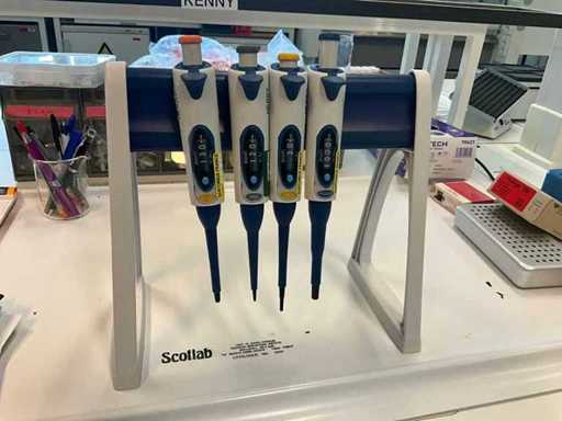 BIOHIT Pipettes with Rack (4x)