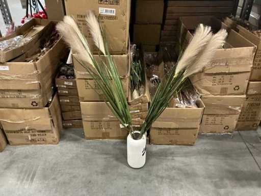 Lot Coco Maison Pampas Gras 120 cm (84x)