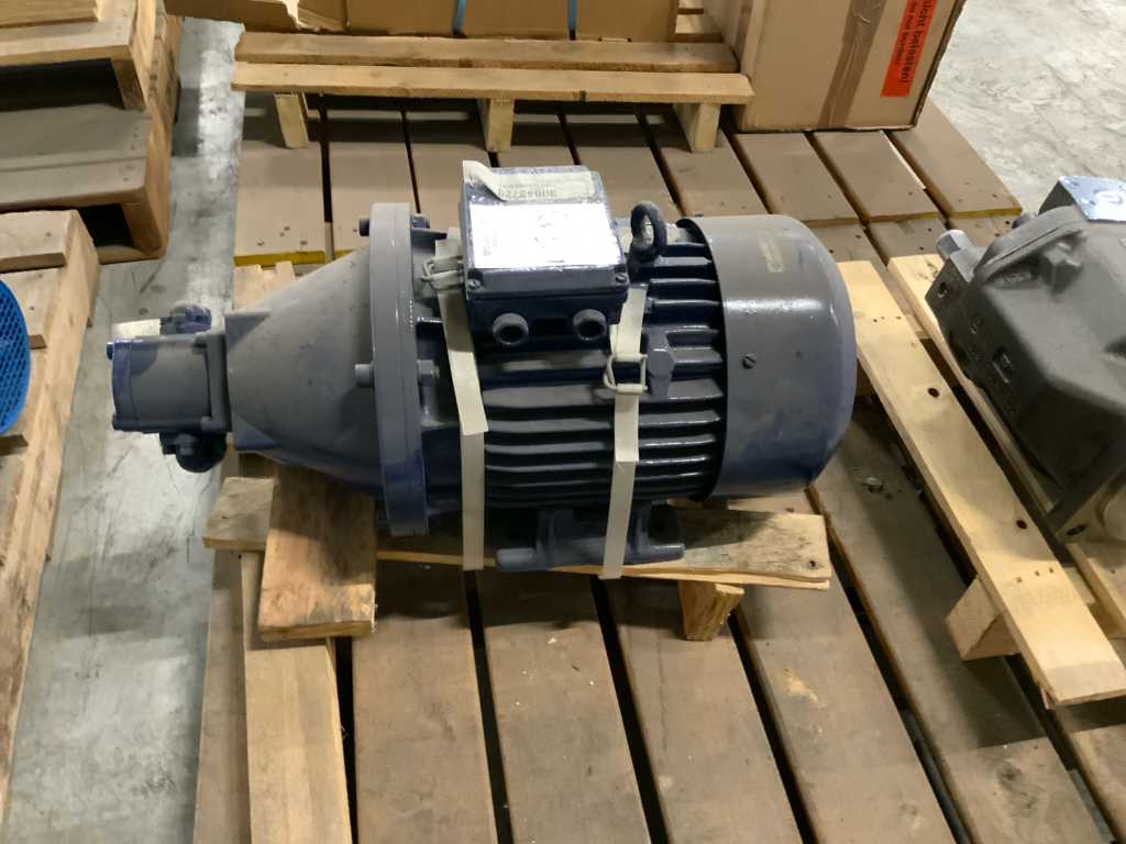 Elektrim Electric motor with hydraulic pump unit