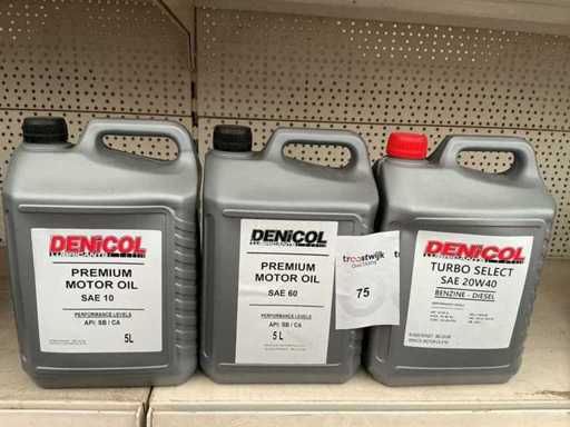 Denicol SAE 10 + 60 + 20W40 Motoröl Hubraum 5 Liter (3x)