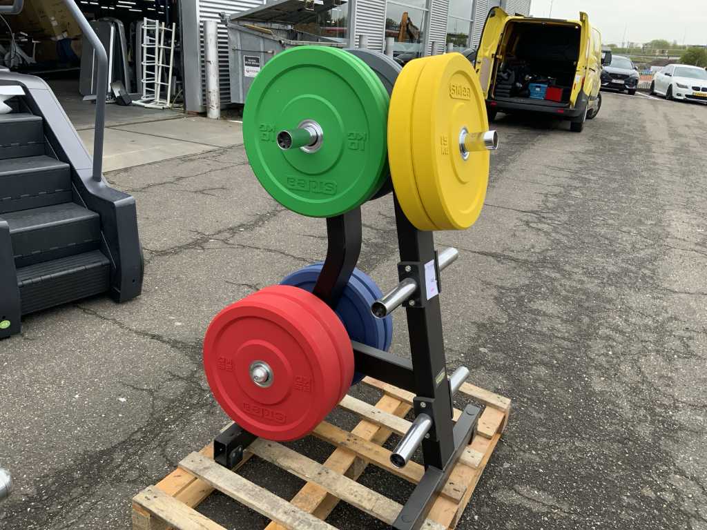 sidea dumbbell rack with 300kg new bumper plates multi-gym