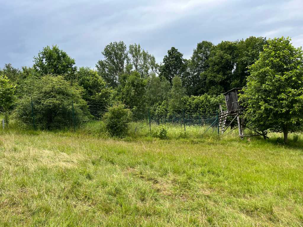 Plot of land with hunting cabin of 3.320 m2 in Friedrichroda - Germany