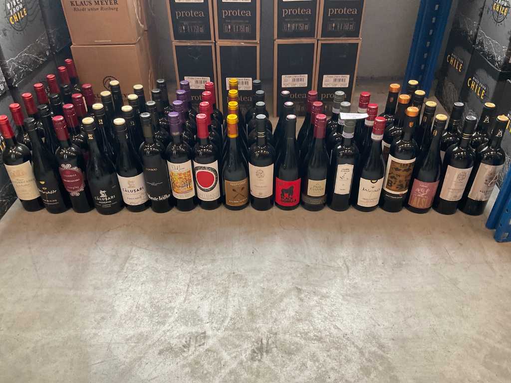 Various wines (66x)