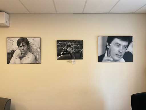Alain Delon Wanddecoratie (3x)