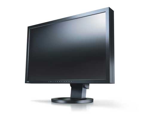 EIZO FlexScan SX2462W-FS 24-calowy monitor