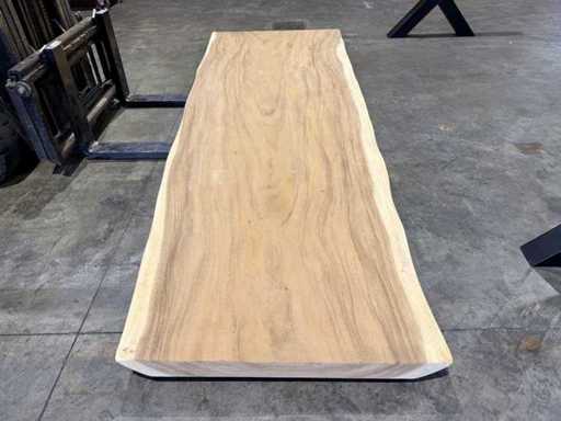 Blat pnia drzewa Suar 300 cm.
