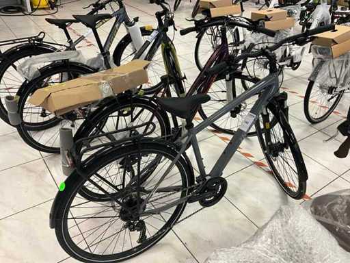 Diamant Elan Deluxe Stadsfiets (2x)