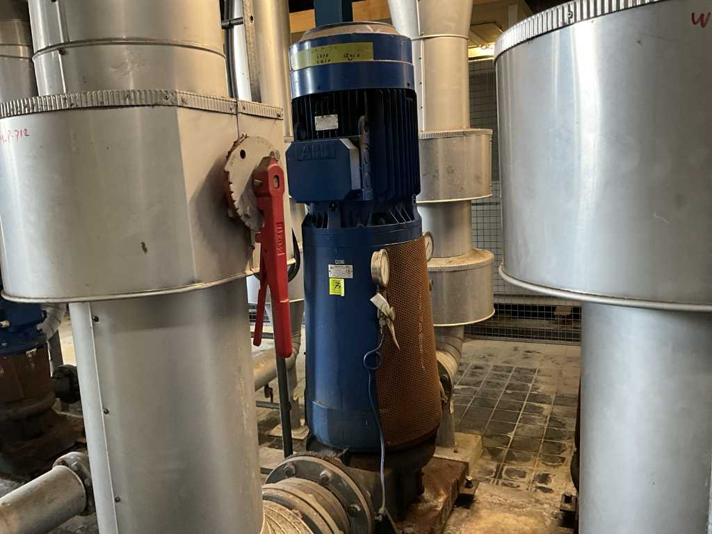 Bombas ITUR IL-150/250 Centrifugal Water Pump