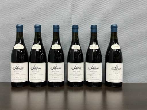 Storm Wines Pinot Noir 'Ridge' 2020 (6x)