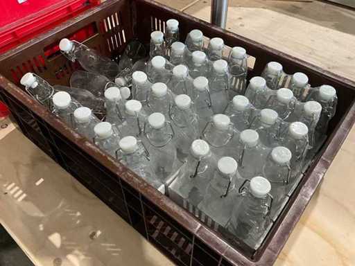 Fles met beugelsluiting (46x)