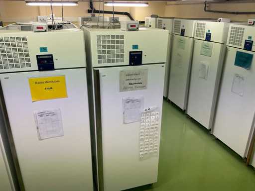 Liebherr 461353 Freezer -20