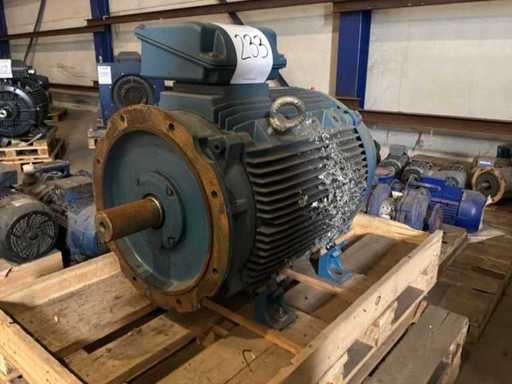 ROAD 3-2803/M-04 Elektromotor