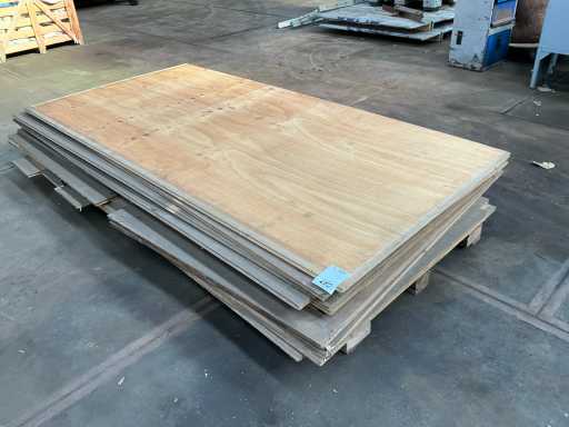 Piatto di legno (9x)