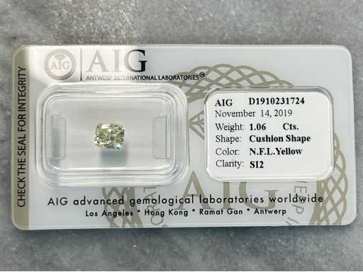 Diamant 1.06 carat natuurlijke diamant gecertificeerd