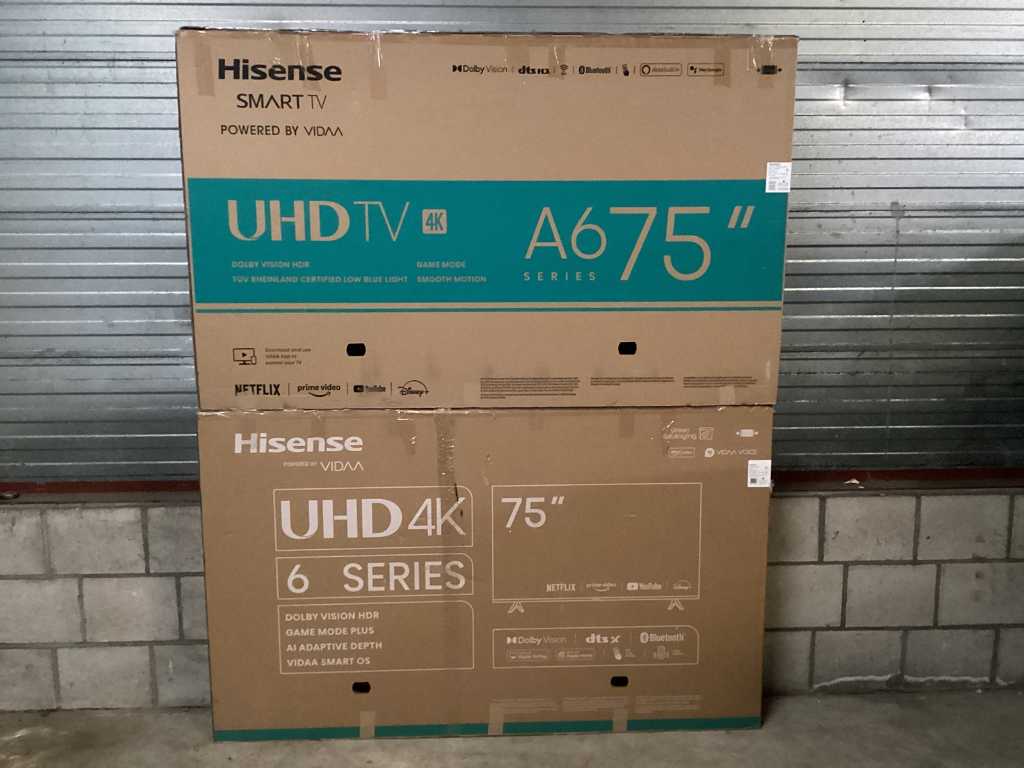 Hisense - Fernseher (2x)