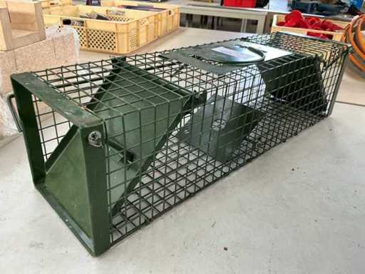 Przyjazna zwierzętom klatka do łapania