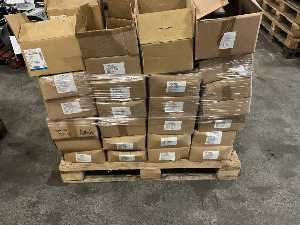 Batch of stainless steel bolts and screws multi allen (approximately 300,000 pieces)