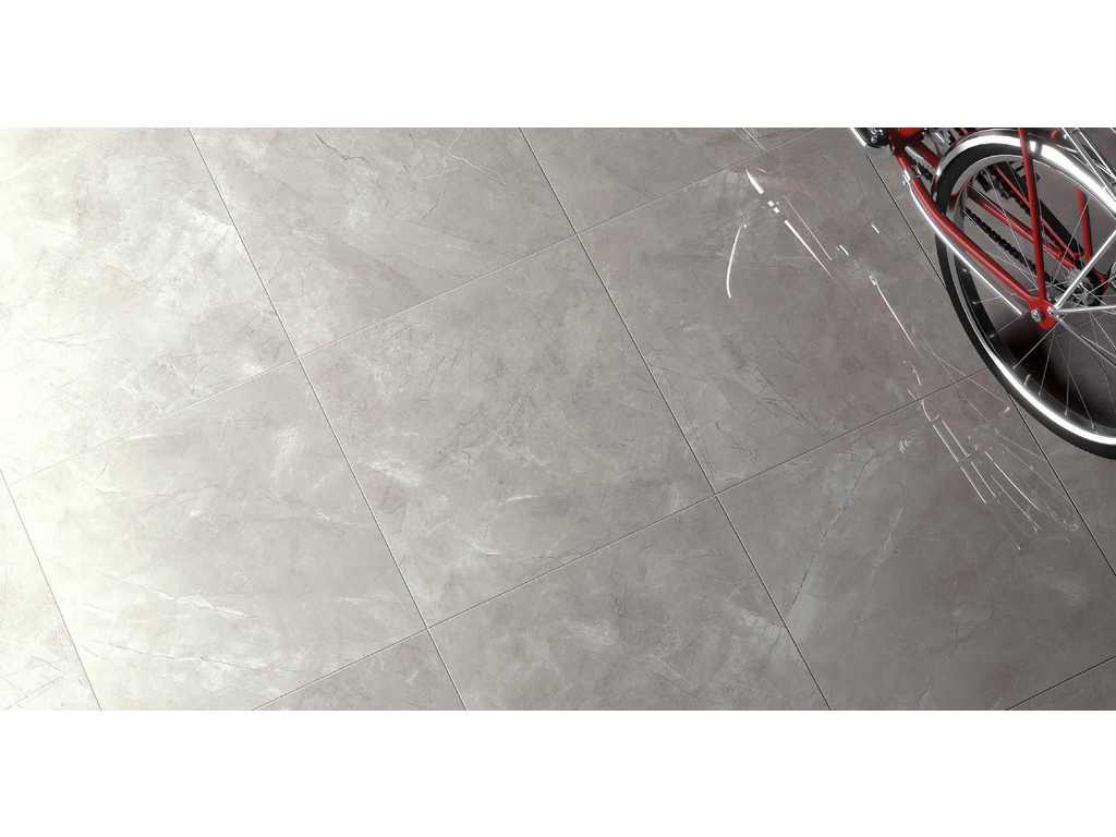 Elegant Grey Polished Tile 54 m²