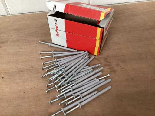 Zatyczka udarowa Fischer 6 x 80, pude?ko 50 sztuk (20x)