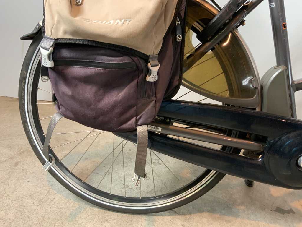 Vélo électrique discount giant twist confort