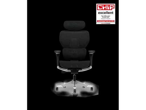 Fauteuil de bureau Flexisport