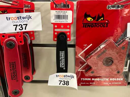 Set di chiavi esagonali Tengtools