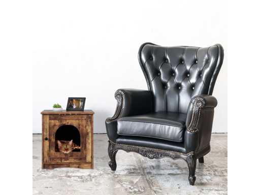 Meuble de toilette avec porte pour chat