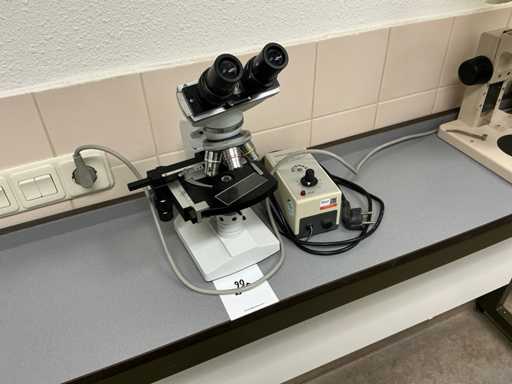 Euromex Microscope