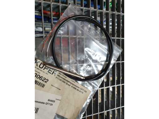 BRANDT 4-008-40-0115 Resistance Thermometer