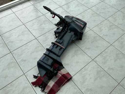 Motore fuoribordo Evinrude 9.9