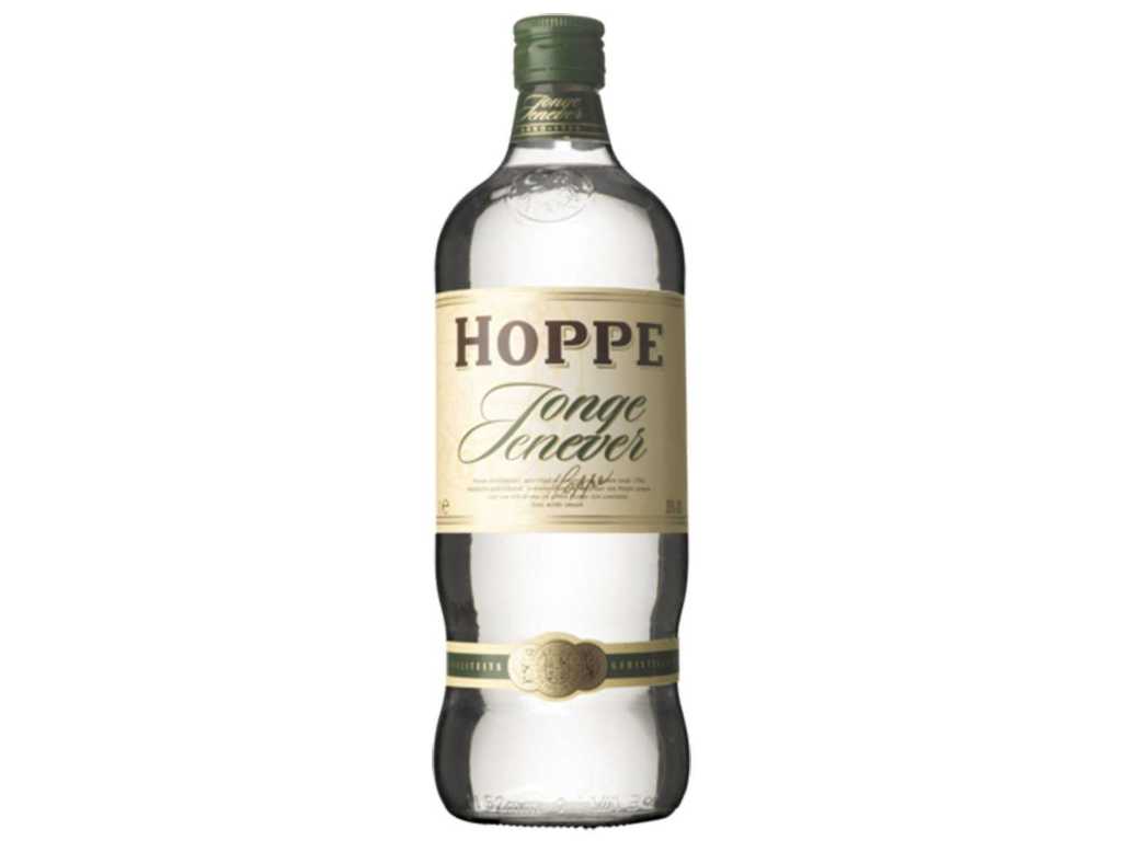 Hoppe Young Gin 100cl 35% (18x)