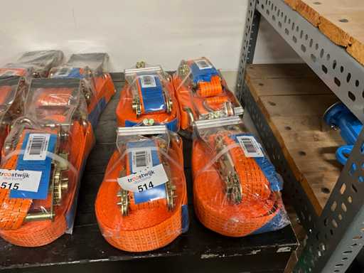 Cinghie a cricchetto per il busto (4x)