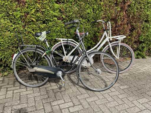 Gazelle/Vogue Fiets (2x)