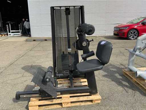 Gym80 Signum lowerback Krachtstation