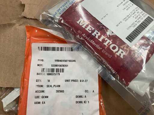 Meritor Plain seal (20x)