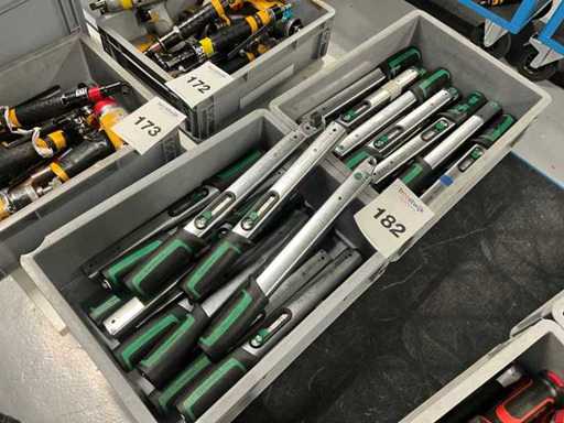 Stahlwille Manoskop 730/5 quick Torque Wrench (30x)