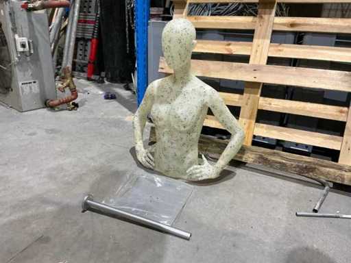 Hans Boodt M7010 Manikin Torso (4x)