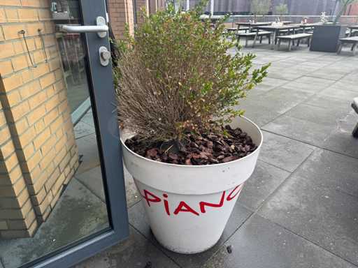 Plantenbak "Vapiano" (2x)