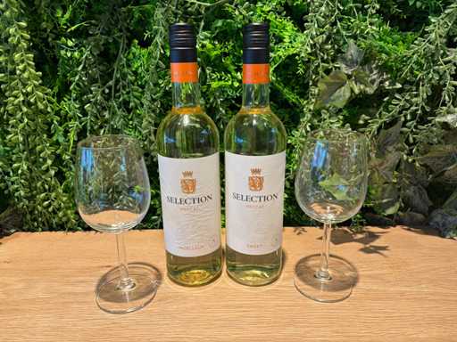 Bouteille de vin blanc (6x)