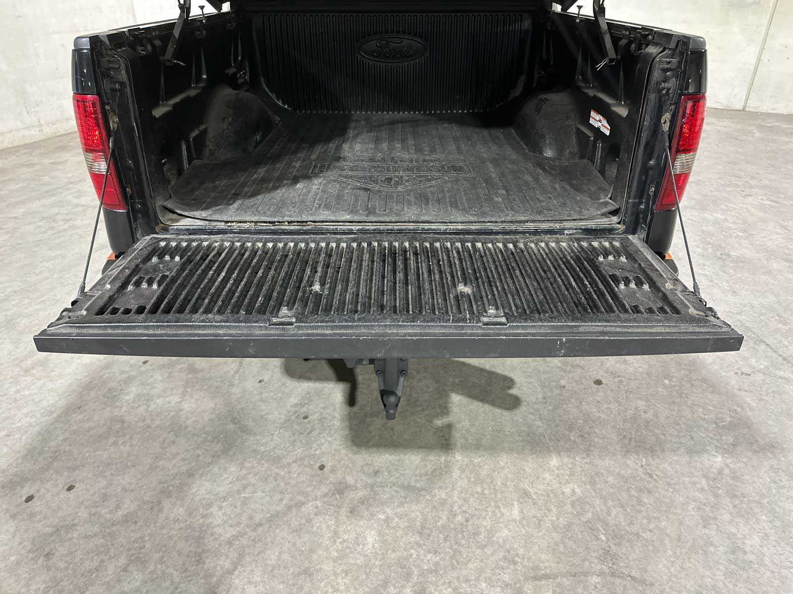 Ford F150 Harley Davidson 5.4L V8 300pk 2009, 20-VRV-4