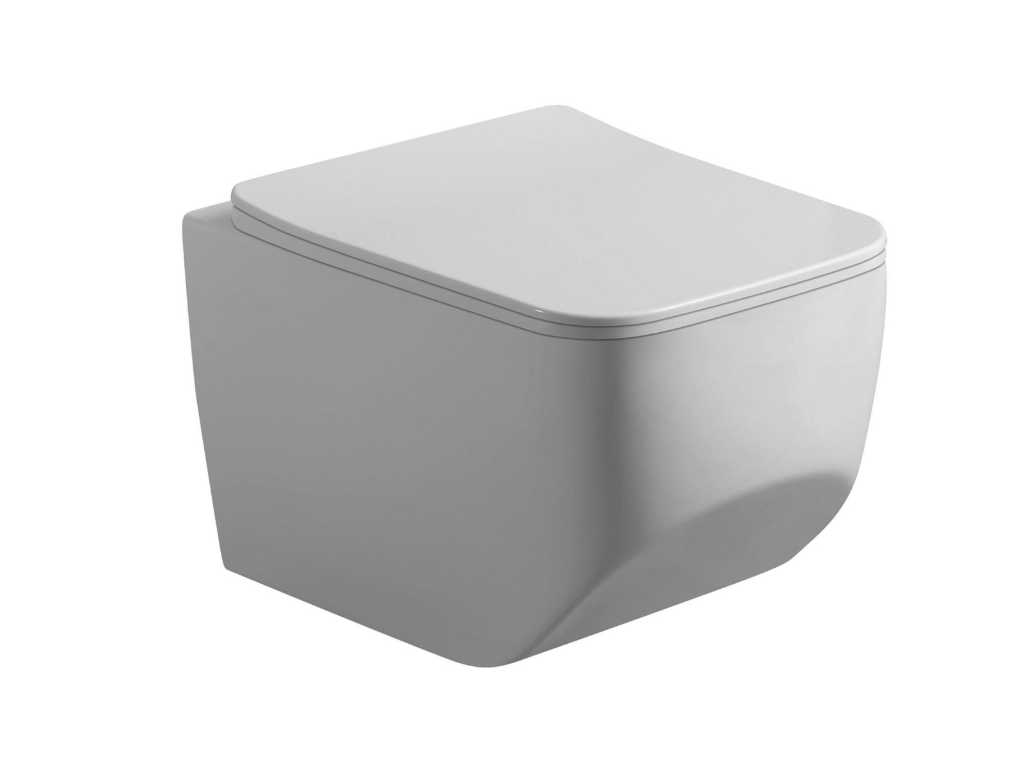 Wall-hung rimless toilet - vermont