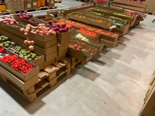 Silka Artificial Flowers