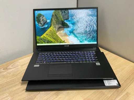 Ordinateur portable Terra 1716 (2x)