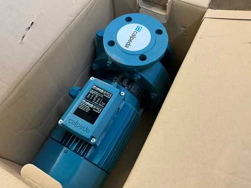 Calpeda NM 50/12A-60/B Centrifugal pump (3x)