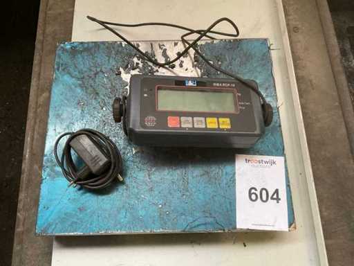 Cântăritor de verificare RIBA