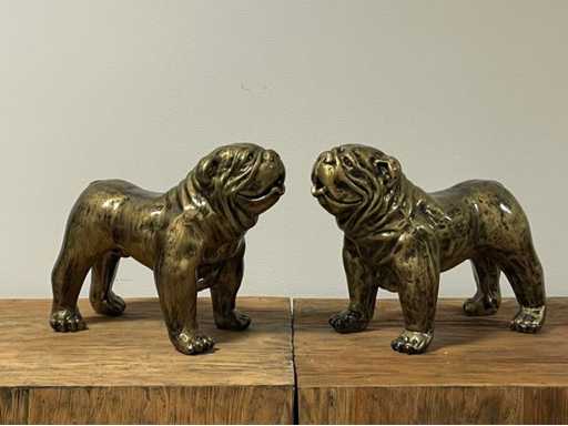 Set van 2 Engelse Bulldogs H24cm x L27cm Old Gold